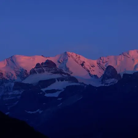 Griesalp Hotels 3* Kiental